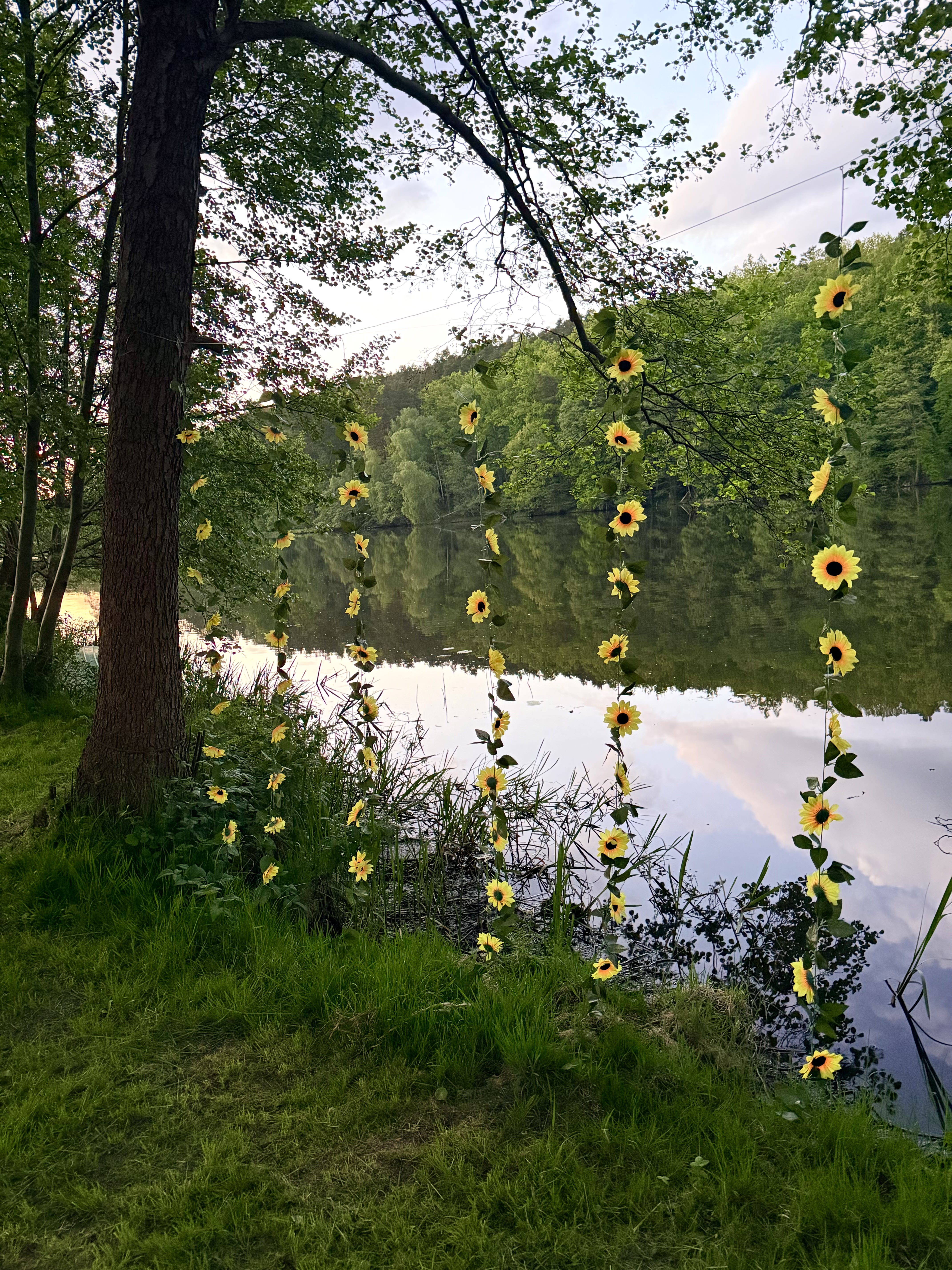 Makramy zawieszone na gałęzi nad jeziorem
